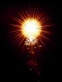 3.Sun Flower(Tt[) ()RΓX